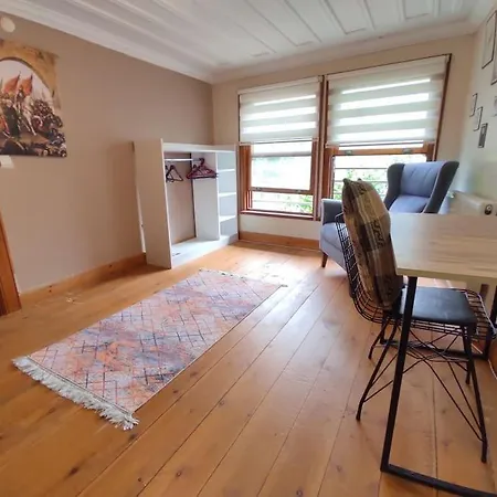 Cozy L Location L Wooden Mansion Διαμέρισμα Κωνσταντινούπολη