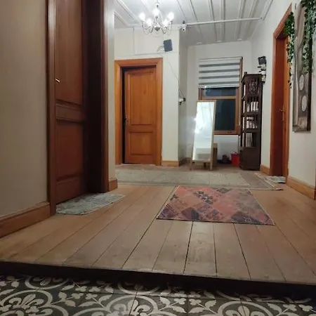 Cozy L Location L Wooden Mansion Διαμέρισμα Κωνσταντινούπολη