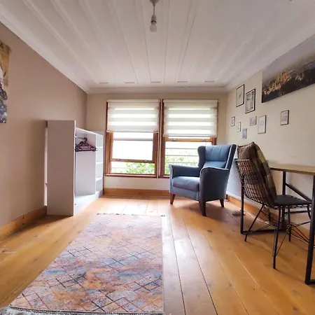 Cozy L Location L Wooden Mansion Κωνσταντινούπολη